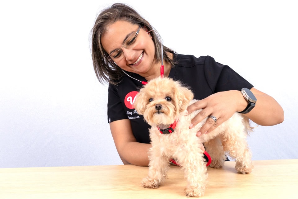 PetSmart Veterinary Services Huntington Beach hospital