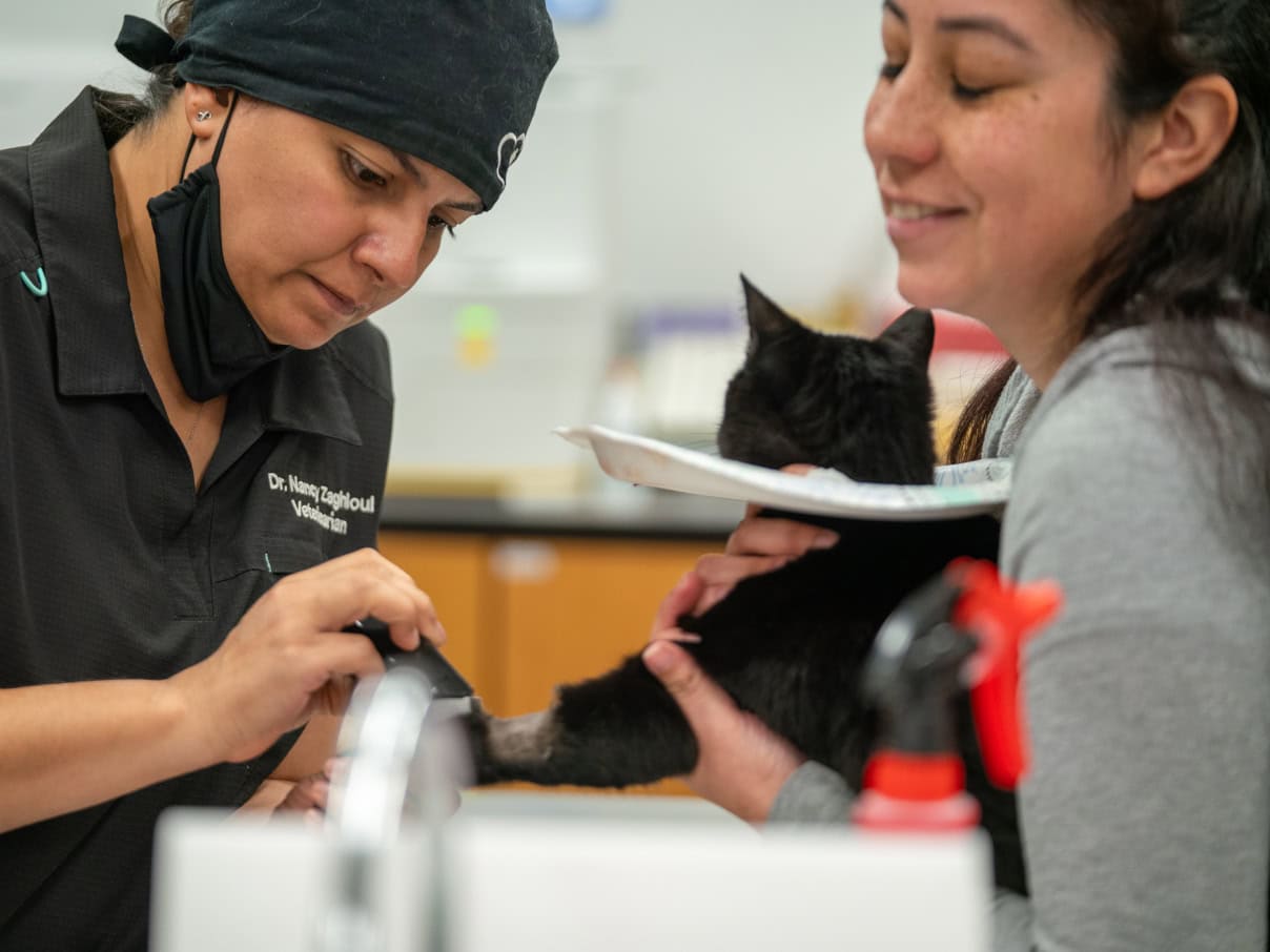 Comprehensive pet care at PetSmart Veterinary Services Huntington Beach