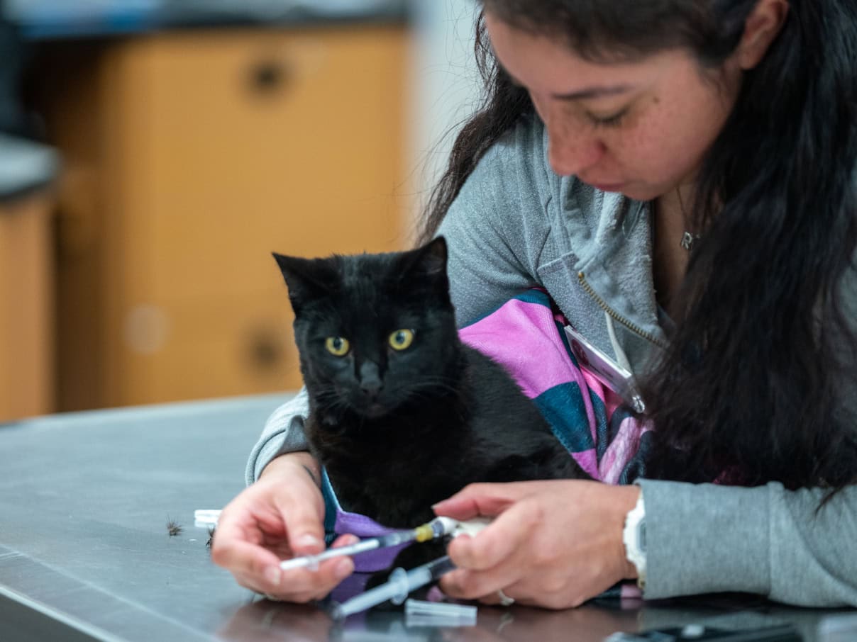 Convenient and quality veterinary care in Huntington Beach