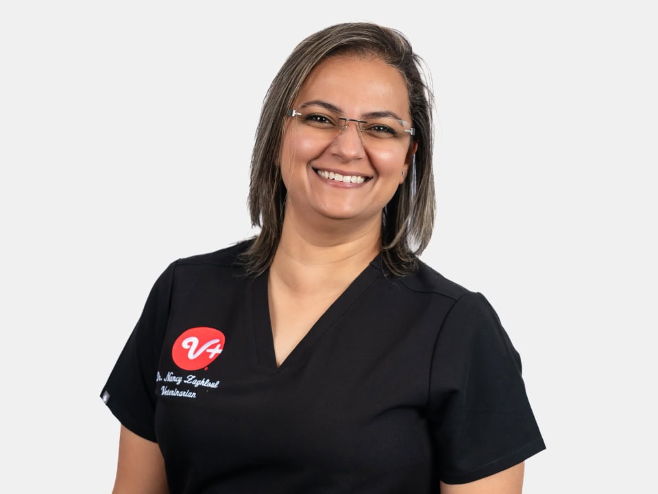 Dr. Nancy Zaghloul, veterinarian at PetSmart Veterinary Services Huntington Beach